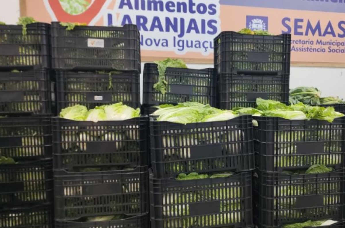 Programa de Aquisição de Alimentos