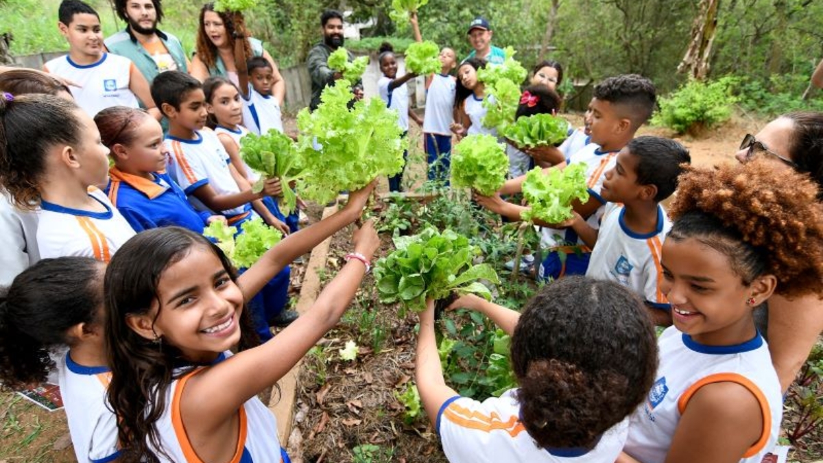 bf_Projeto Escolas que Plantam