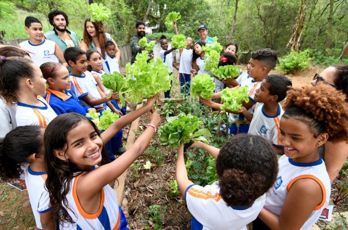 bf_Projeto Escolas que Plantam