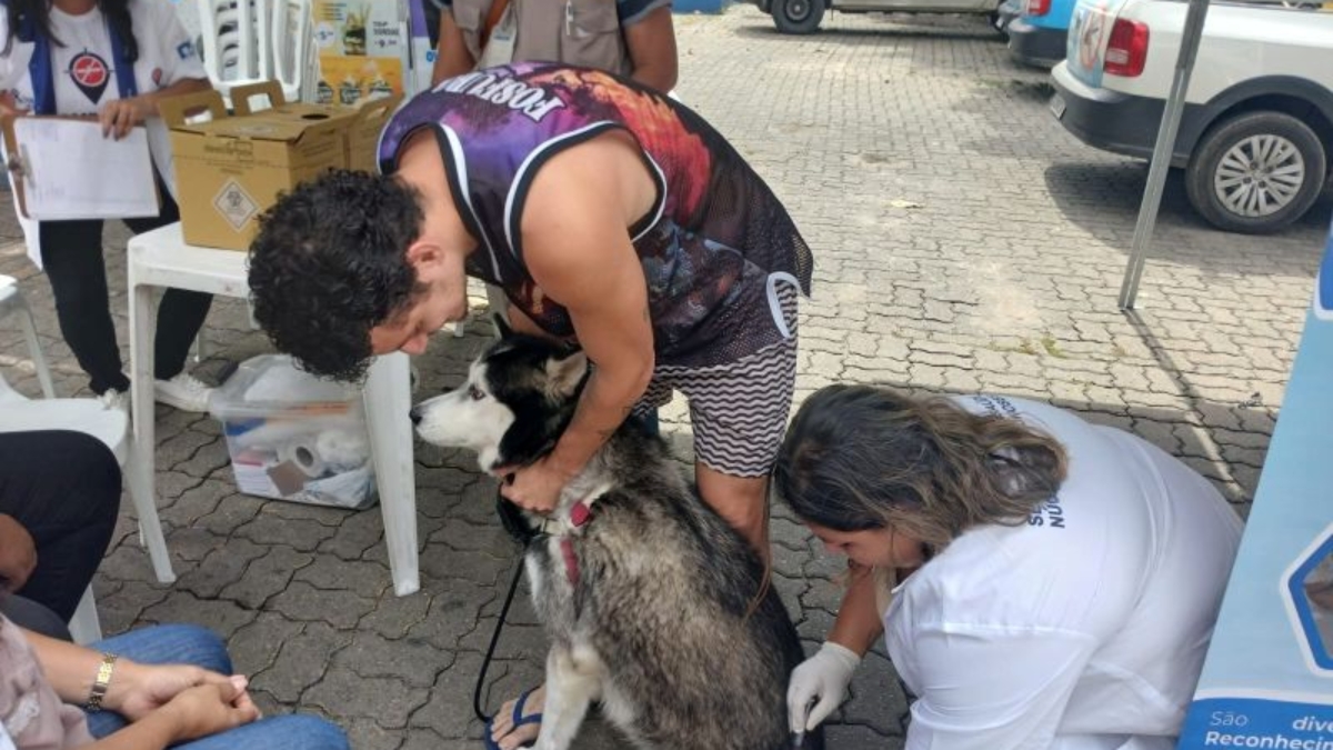 Vacinação Caxias