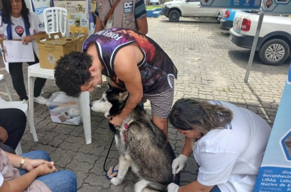 Vacinação Caxias