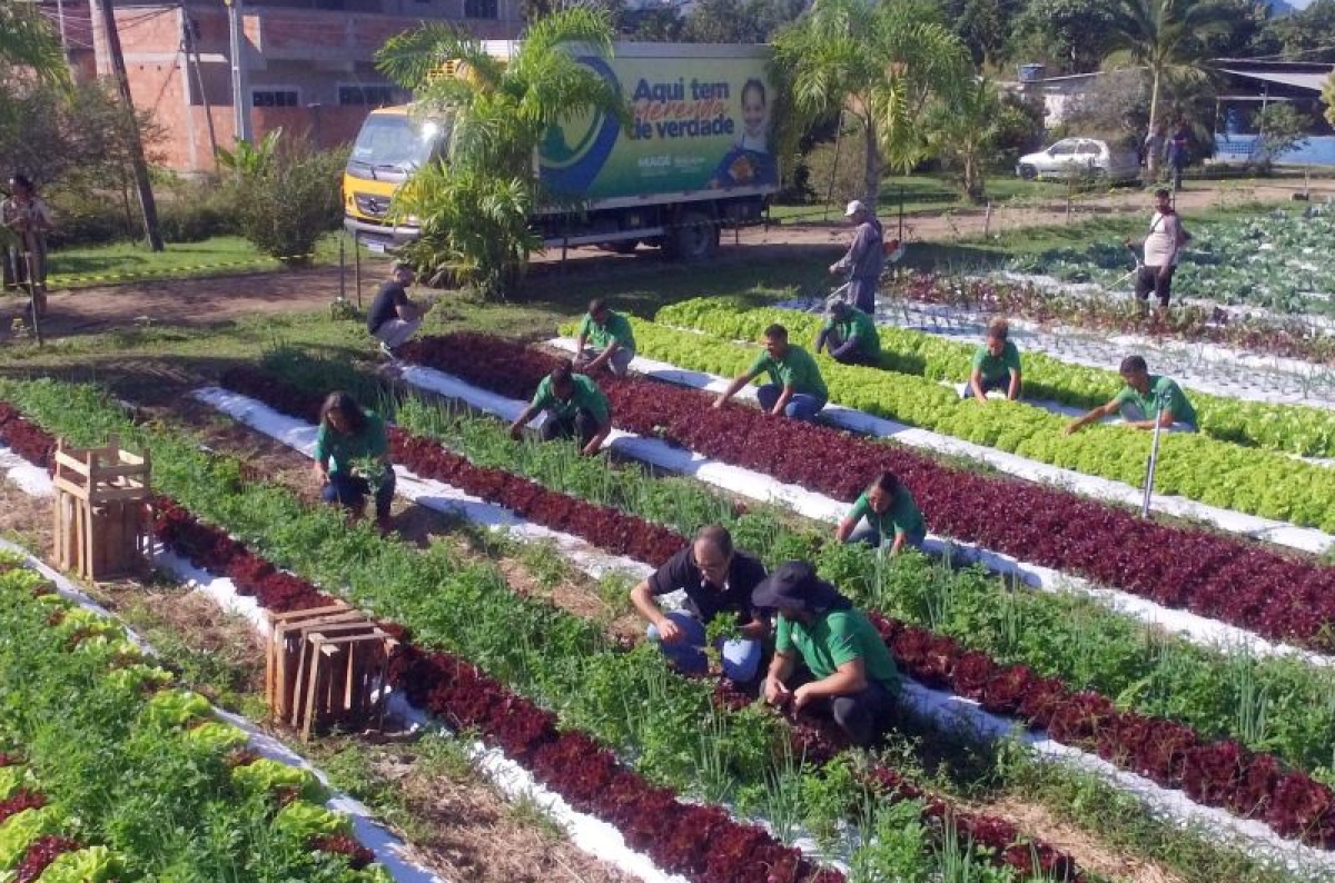 Magé prepara ação social para os agricultores