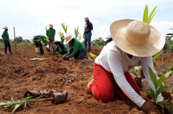 Edital-Natureza-1200x675